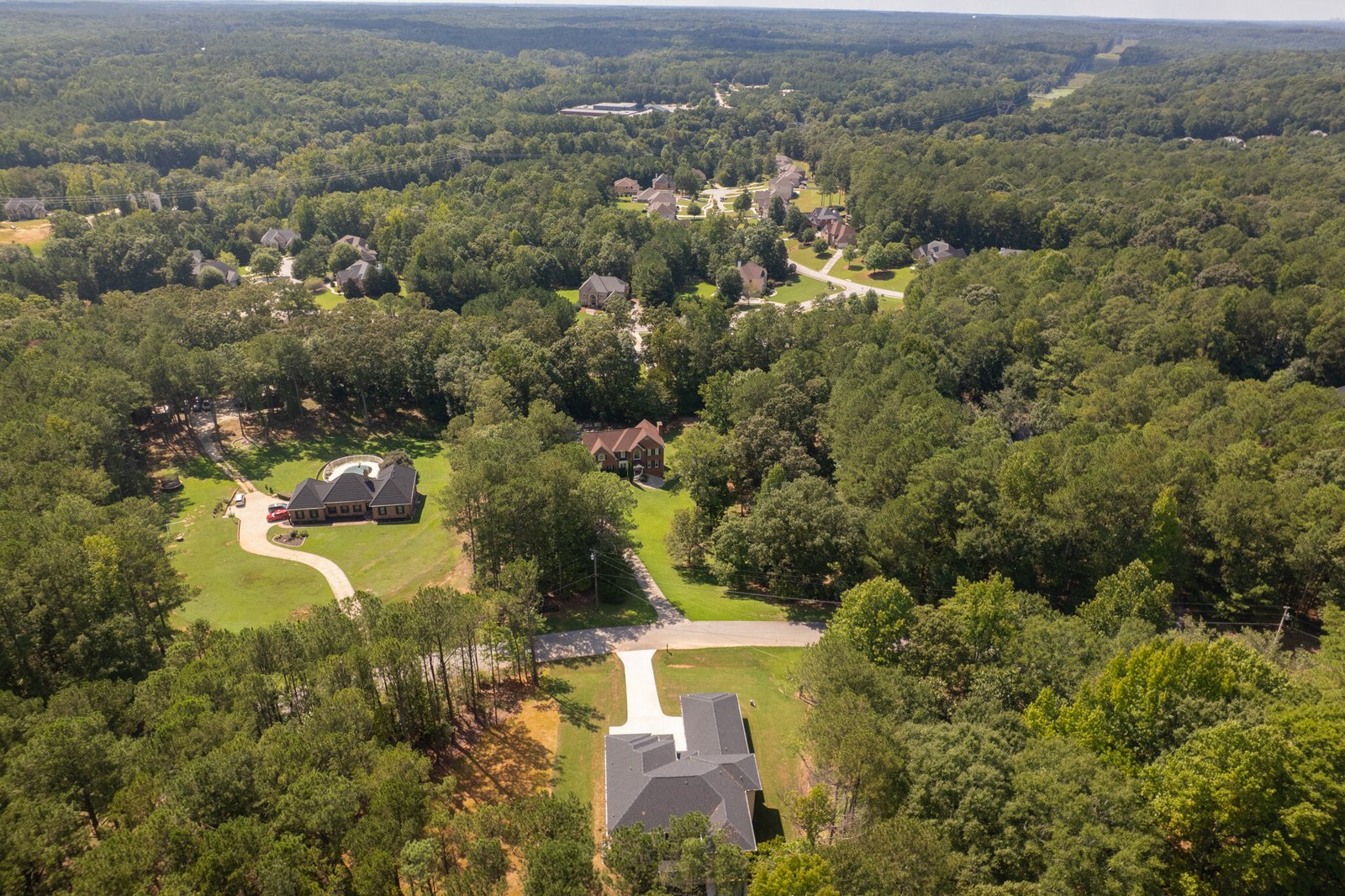 3181 Buck Branch-55